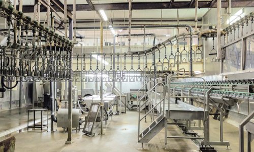 Obligation de traçabilité et de contrôle sanitaire de l'abattage