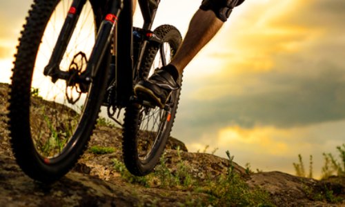 Légalisation du spot d'aiseau