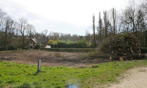 Non à l'abattage d'un arbre plus que centenaire
