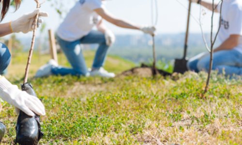 Permettre à Monsieur SORIA Claude de réintégrer le volontariat civil en ISRAËL avec SAR-EL