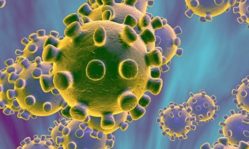 Covid19 (coronavirus)