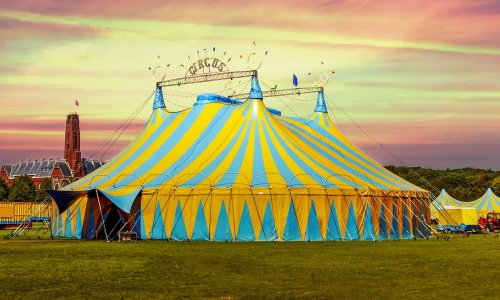 Cirques sans animaux à Ormesson