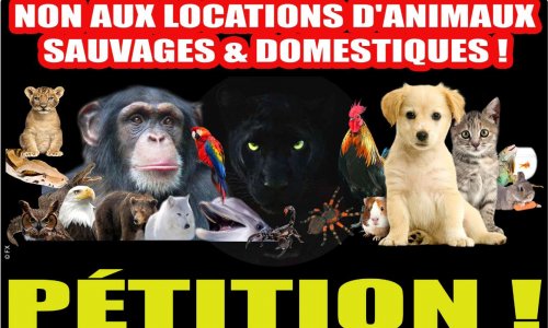 NON AUX LOCATIONS D’ANIMAUX SAUVAGES & DOMESTIQUES !