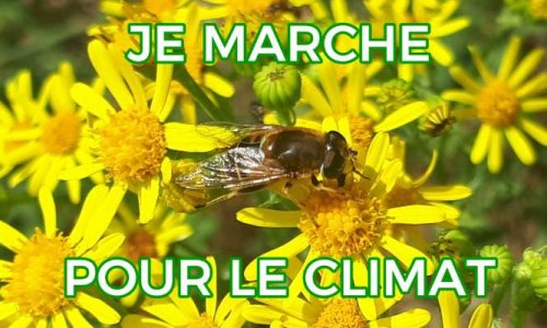 Je marche pour le climat