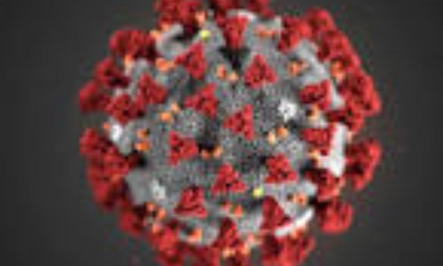 SOLIDARITÉ AUX  SOIGNANTS