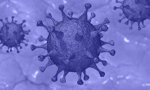 Prolongation des résidences alternées afin de réduire la circulation du coronavirus !