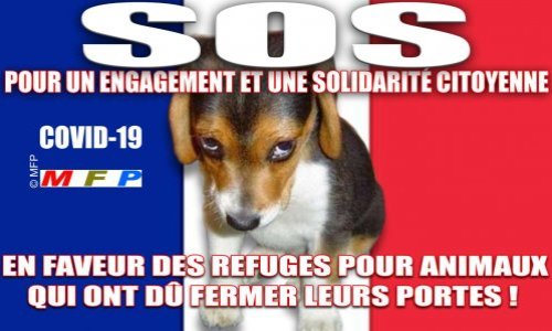 SOS POUR UN ENGAGEMENT ET UNE SOLIDARITÉ CITOYENNE EN FAVEUR DES REFUGES POUR ANIMAUX QUI ONT DÛ FERMER LEURS PORTES  !