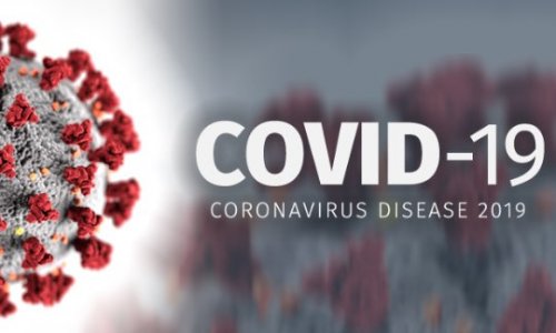 #COVID19 - En soutien aux médecins qui portent plainte contre M. Edouard Philippe et Mme Agnès Buzyn