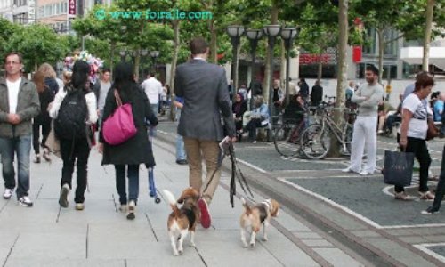 Covid-19 - L'armée dans les rues