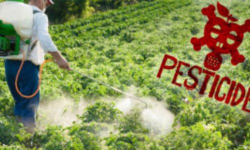 Signez et partagez pour stopper les pesticides et les produits chimiques.