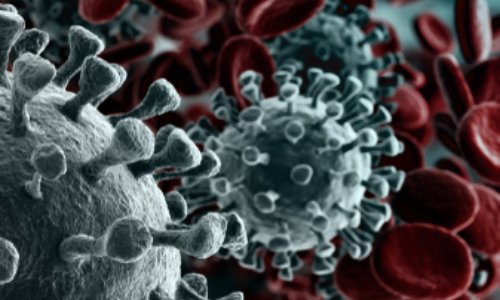 Demande de dépistage du covid-19