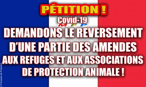 Demandons le reversement d'une partie des amendes aux refuges et aux associations de protection animale