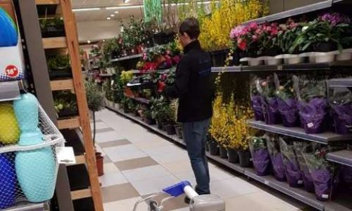 Stop aux ventes de fleurs en supermarché !