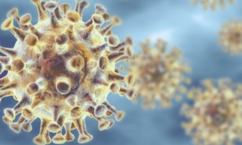 Pour le droit aux tests de dépistage du Covid-19 et droit au traitement à la Chloroquine !