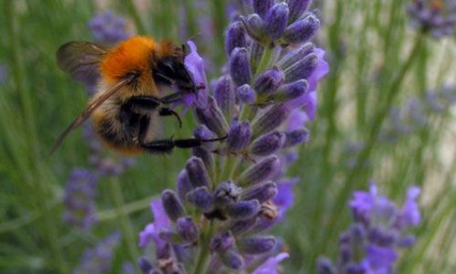 Pour toute personne socialement constructive !