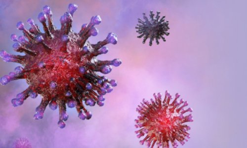 Demandons un nouveau décret