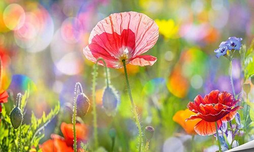 Pour une économie au service de l'humain (et non l'inverse) !