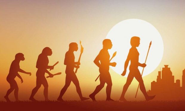 L’Afrique n'est pas un laboratoire !