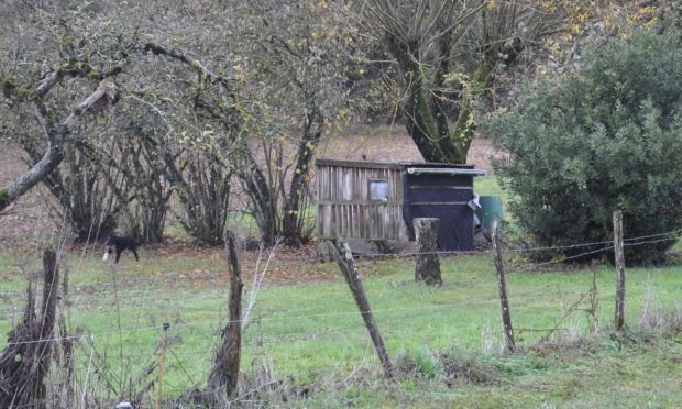Pétition pour rétablir le droit d’accès des jardiniers amateurs aux potagers privatifs non-attenants à leurs lieux de résidence en période de confinement