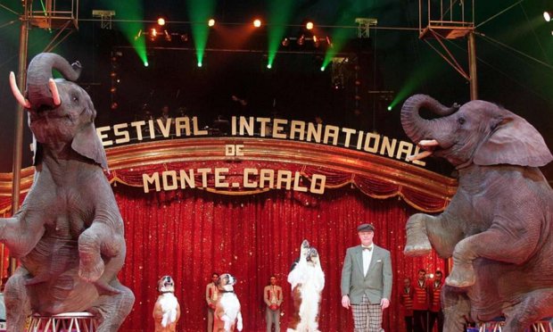Non aux animaux dans le cirque de Monaco !