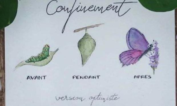 Demande l'annulation des amendes pour ceux ayant utilisé le lavage auto, ouvert et aucune affiche l'interdit. Et que le pare-brise sale est un danger grave. Nettoyer tout pour luter contre ce virus est logique.