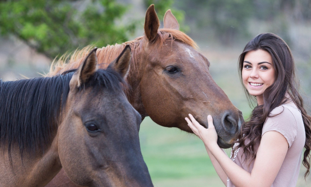 Autoriser les propriétaires à s'occuper de leurs chevaux pendant le confinement
