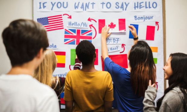 Comptabilisation des Langues Transversales au moins en BONUS