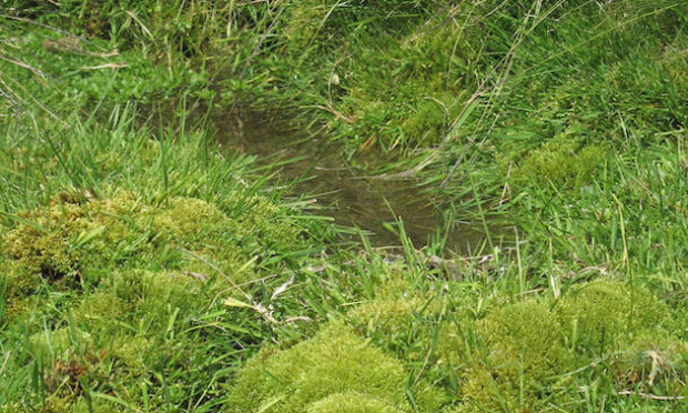 Respect des distances de sécurité pour les épandages de pesticides