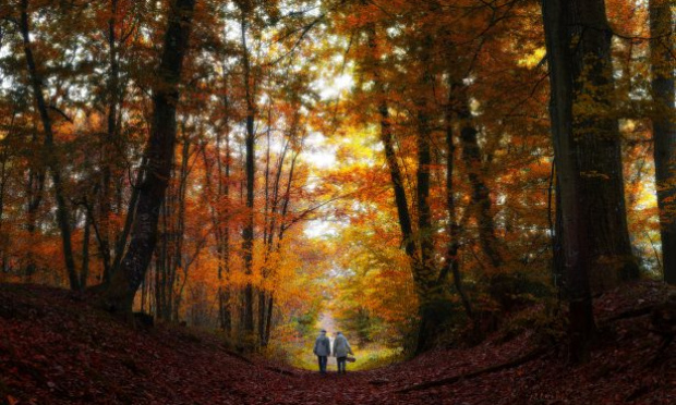 Quelle stratégie de développement pour notre village de Saint-Léger en Yvelines ?