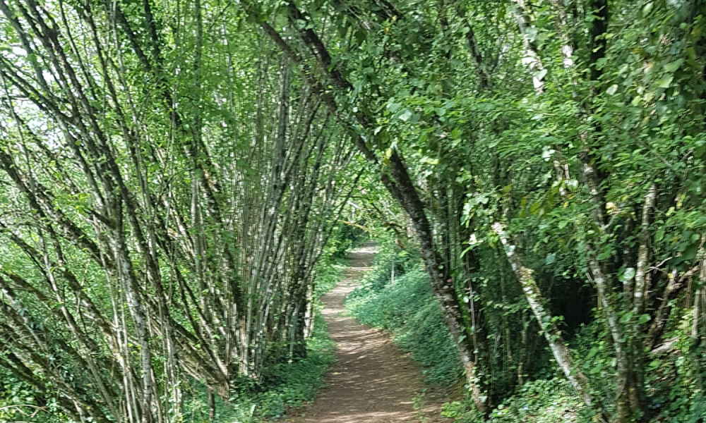 Accès sécurisé et libre au chemin longeant la Vallée du Roujalet
