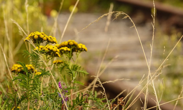 Enseignement supérieur et recherche: Appel solennel à cesser de prendre toute mesure non-urgente en période de confinement