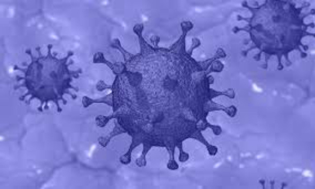 COVID 19 - Catastrophe Naturelle