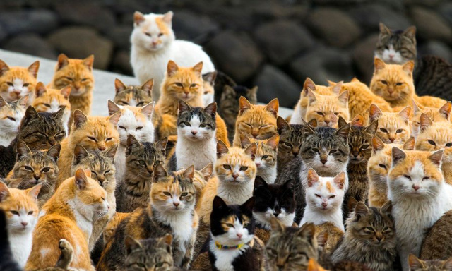 Pour la réouverture de la Maison Spa de Lezignan Corbieres durant le confinement