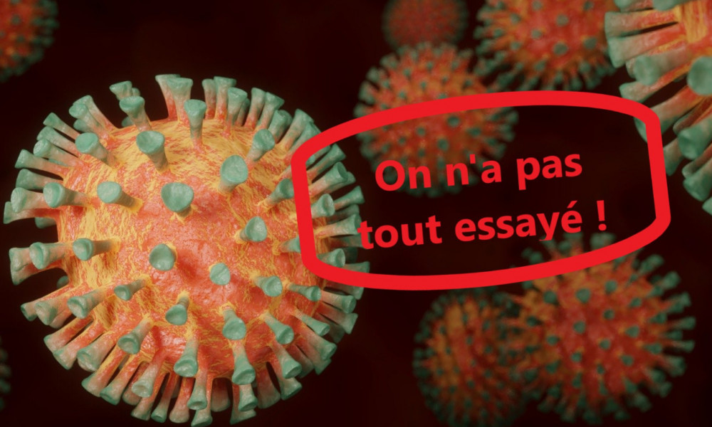 On n’a pas tout essayé pour faire reculer la pandémie et sortir du confinement : il est temps de promouvoir les médecines naturelles !