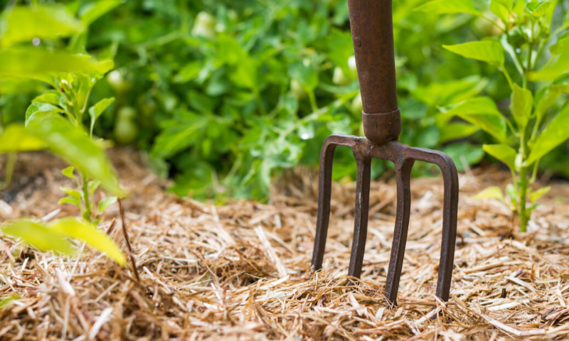 Pour l’autonomie alimentaire en France !