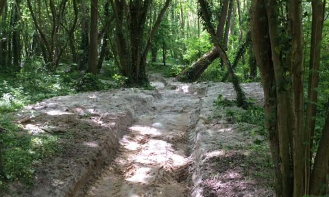 Pétition contre la décision de retirer les pistes cavalières de Marne et Gondoire