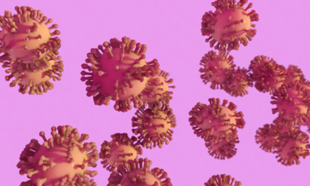 Coronavirus : ce qu'il fallait faire ... ce qu'il faudrait faire