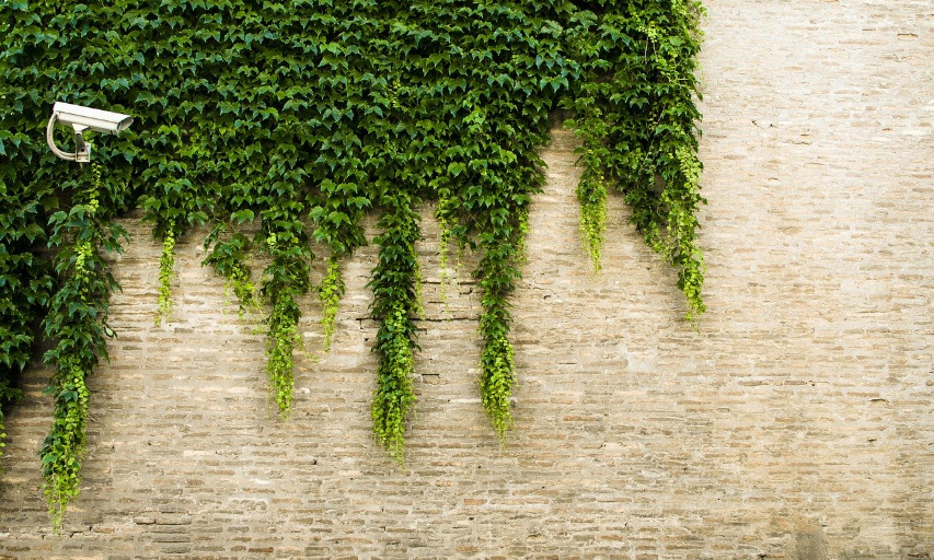 Demande de mise en place de caméras de surveillance