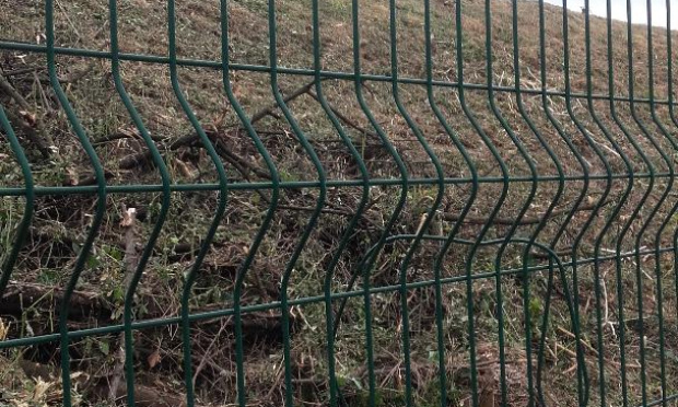 luttons pour préserver nos arbres  le long des routes et voies SNCF