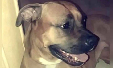 Peine maximale  pour l'assassin de SULTANE, poignardée et jetée du 3ième étage au Creusot