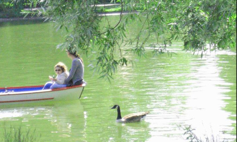 Proposition pour l'air pur de Paris à Madame Hidalgo