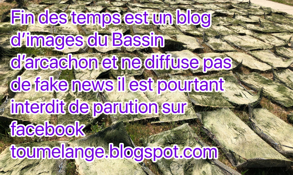 Cessez de censurer les blogs d'Alexandre Cometti