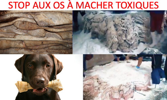 OS À MACHER : CES FRIANDISES QUI TUENT NOS CHIENS