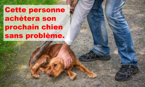 Maltraitances quotidiennes, abandons : sans permis de détention, pas de progrès !