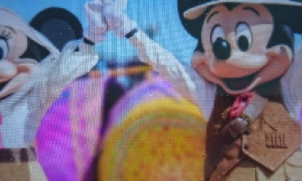 Pétition urgente pour que le festival du roi lion soit maintenu du 20 Juin au 13 Septembre 2020