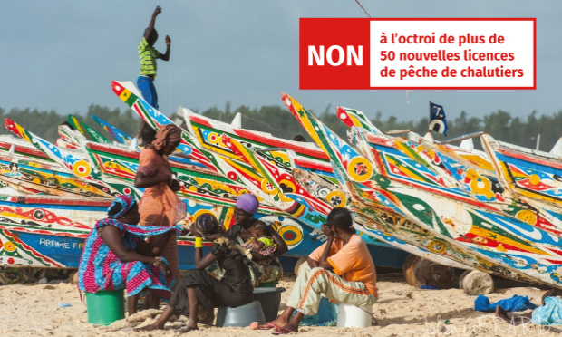 Non à l’octroi de plus de 50 nouvelles licences de pêche de chalutiers au Sénégal