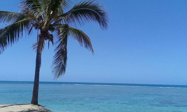 Rouvrir les plages de la Réunion à la pratique d'activités sportives et de loisirs