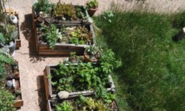 Pour la biodiversité la gestion différenciée et le 