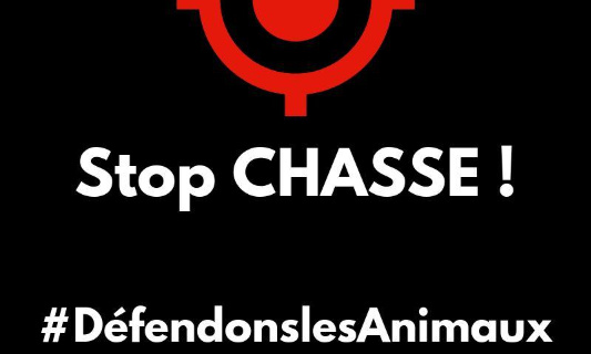 Interdiction pour le piégeage de chats