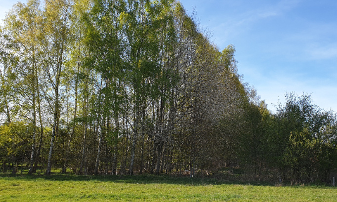 Non au projet de détermination de la Gaume comme zone d'enfouissement de déchets nucléaires